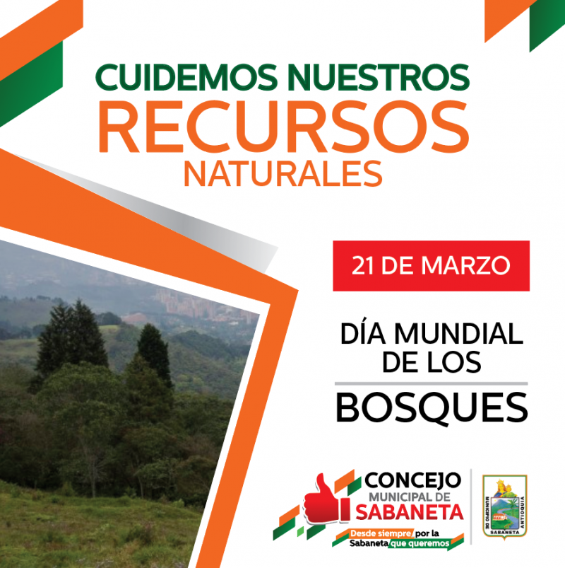 #DíaDeLosBosques