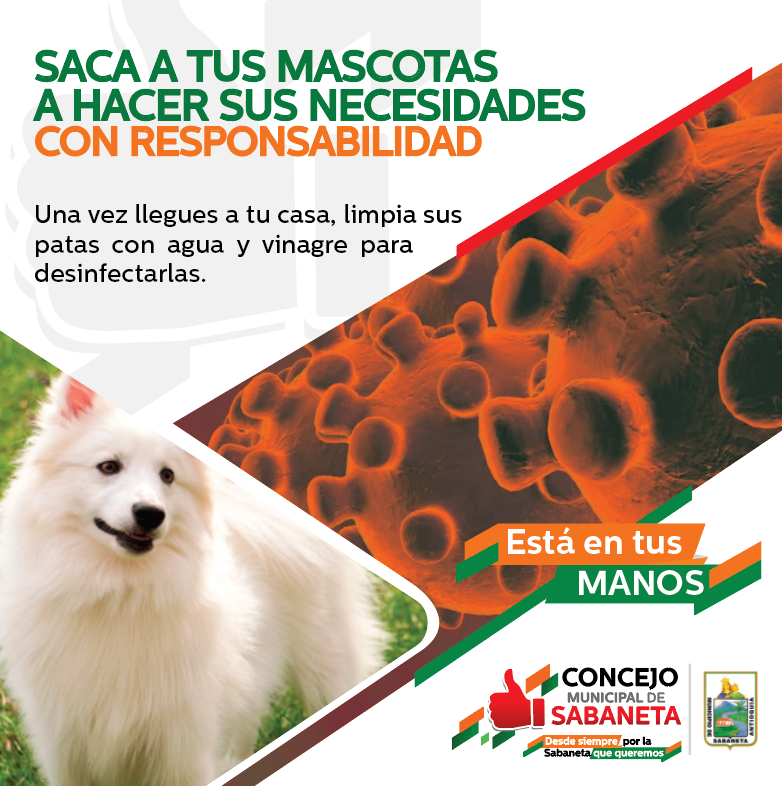 Debes ser responsable con el cuidado de tus mascotas