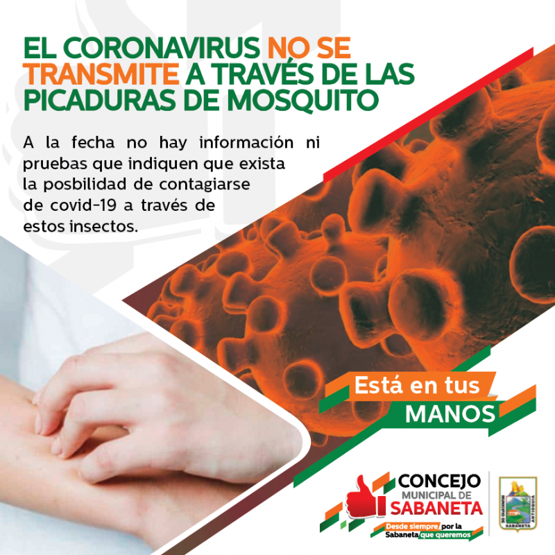 No está comprobado que las picaduras de mosquitos transmitan el coronavirus (COVID-19)