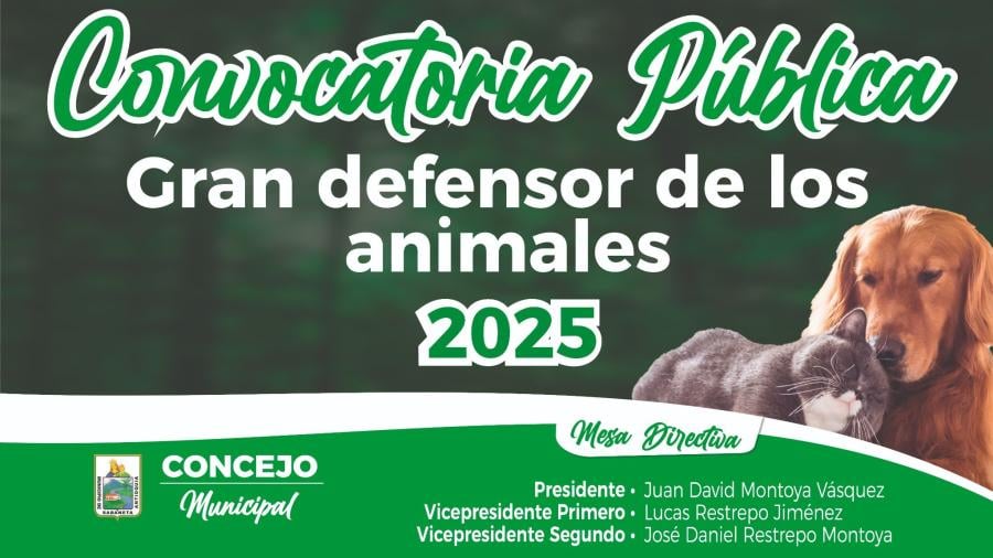 Boletin de Prensa