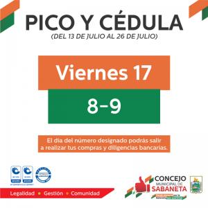 Pico y cédula: DÍA RESTRINGIDO