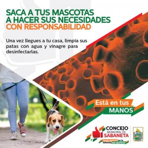 Saca a tus mascotas a hacer sus necesidades con responsabilidad