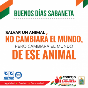 Buenos días, Sabaneta