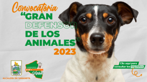 Abierta convocatoria para la distinción al