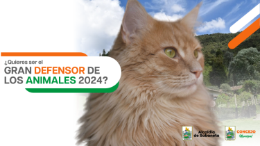 Abrimos convocatoria para la distinción al Gran Defensor de los Animales 2024